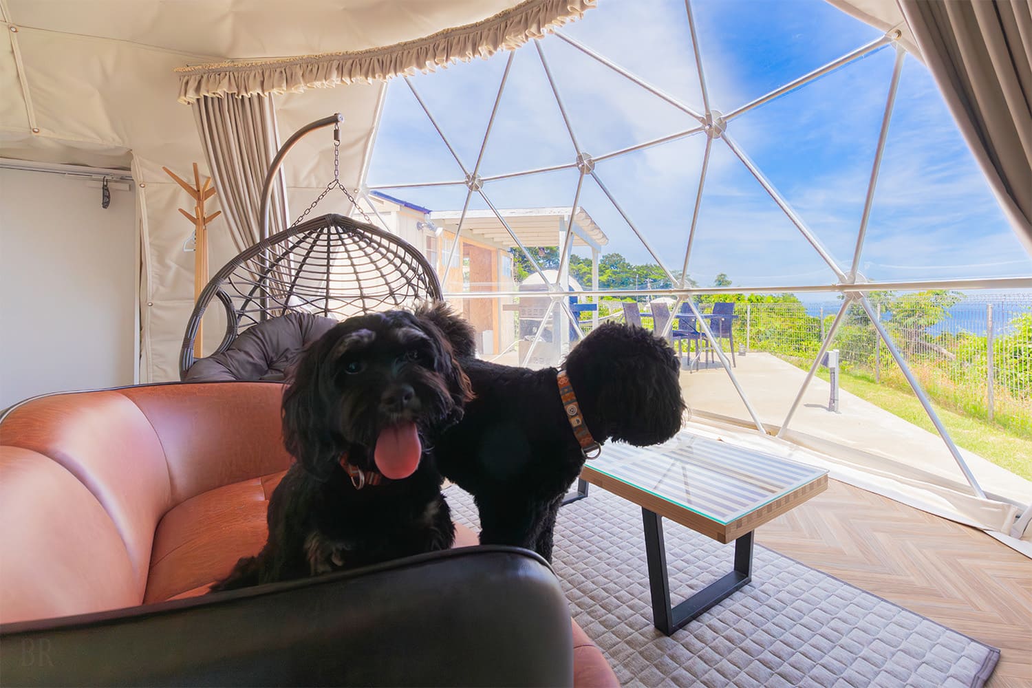 愛犬家による、愛犬と過ごすための理想のグランピング