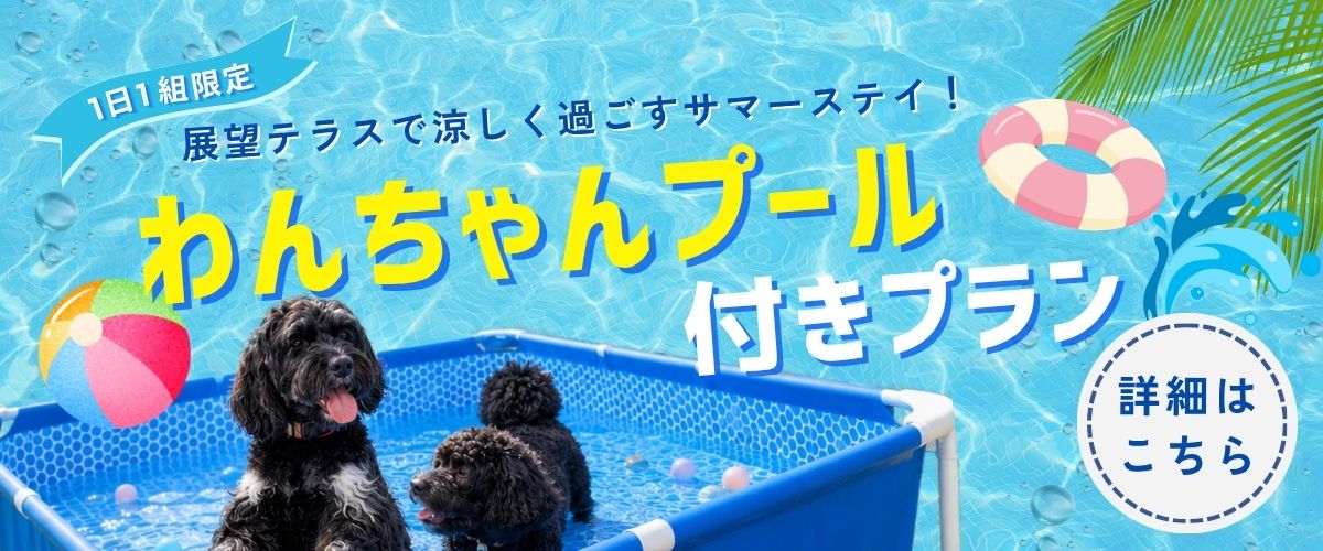 プールプラン